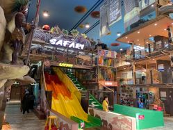 -卡通尼·Safari非洲探索乐园·生日会(金桥国际商业广场店)