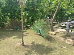 -哈尔滨北方森林动物园