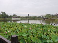 -西海子公园