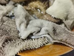 -邓莽子老火锅(鲁祖庙店)