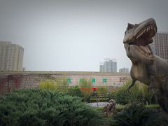 -陕西自然博物馆