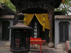 -大槐树寻根祭祖园