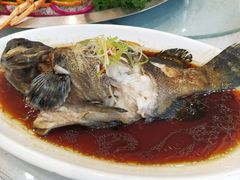 -普天和酒楼·新津菜·烤鸭(天津之眼店)
