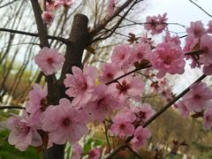 -洛阳市隋唐城遗址植物园