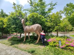 -溱湖国家湿地公园