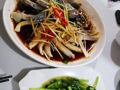 -煲来饱去冷水鱼