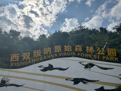 -西双版纳原始森林公园