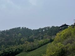 -敬亭山风景名胜区