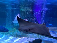 -沈阳海洋探索中心