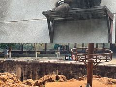 -昆明动物园