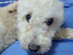 -满兴咱妈烀饼铁锅炖(兰州北街店)