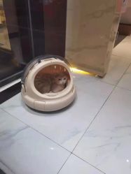 点击看大图 -飞梵造型