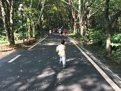 -东湖落雁景区