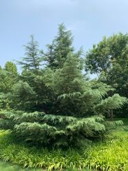 -大望京儿童游乐场