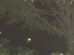 -青城山六善酒店·紫氣園中餐厅