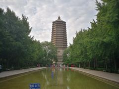 -玲珑塔公园