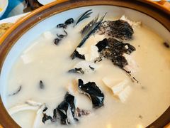 -老淳安—伴山伴湖(千岛湖开元度假村店)