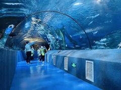 -太平洋海底世界