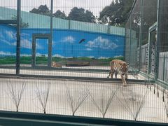 -保定市动物园
