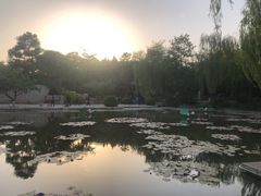 -河北省园博园