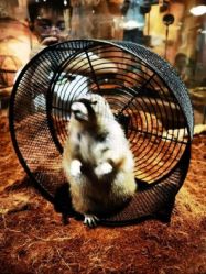 -Zoolung Zoolung动物主题公园(海信广场店)