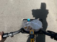 -张家油条