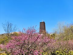 -牛首山文化旅游区