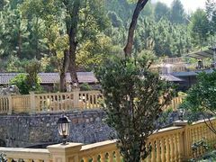 -桂头农贸综合批发市场