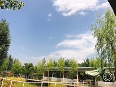 -午后庭院