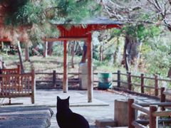 -天王寺公园