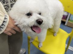 -宠颐生宠物医院外科·内科·皮肤科·影像科(石龙店)