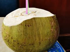 -墨脱石锅椰子鸡•香草鸭•东山羊(大东海店)