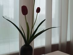 -红顶食府(滨湖九号店)