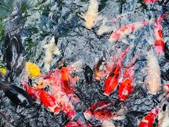 -新世纪大酒楼·30年南海菜