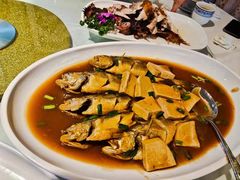 -福来齐·鲁菜海鲜·渔家菜(朝阳街分店)