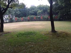 -上海交通大学医学院附属瑞金医院(总院)