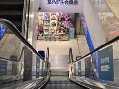 -盒马鲜生(大成店)