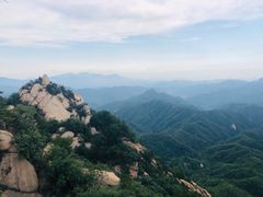 -六里坪国家森林公园