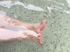 -咸宁万豪温泉谷度假区