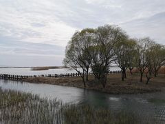 -太湖湖滨国家湿地公园-停车场