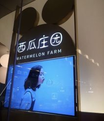 -西瓜庄园儿童摄影
