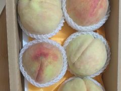 -老袁家蜜桃农场·阳山水蜜桃