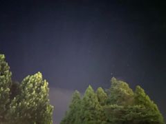 -羊亭河湿地公园