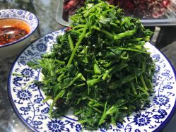 -上美四季动物农场