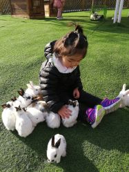 -萌宠亲子动物乐园(槐房万达店)