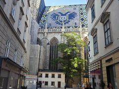-斯蒂芬主教座堂(Stephansdom)