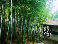 -求雨山文化公园