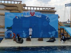 -秦皇岛乐岛海洋王国