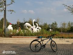 -东郊湿地公园