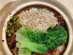 -惠如楼(白云机场T1主楼一层店)